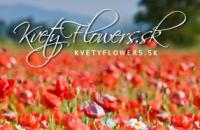 Kvety Flowers - kvetinárstvo Snina